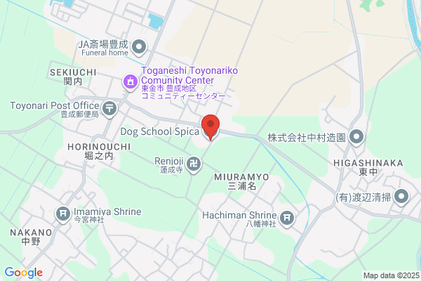 Dog School Spica