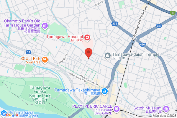 PUDOステーション　ST075　東京園マンション