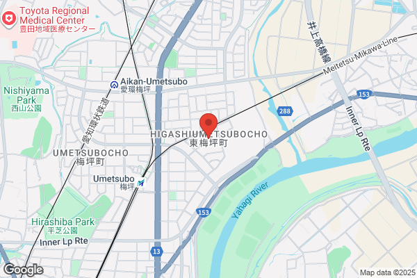 ゲオ豊田広路店
