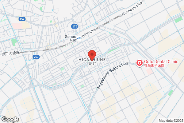 ゲオ 下中野店