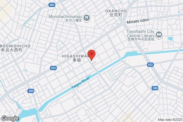 大衆焼肉居酒屋とりとん 豊橋店