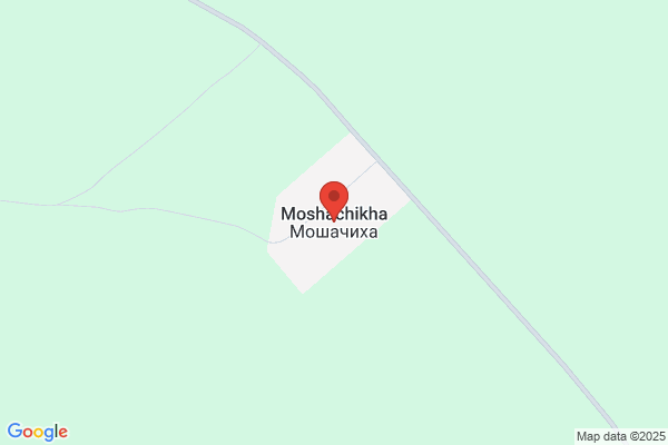 ゲオ丹波氷上店
