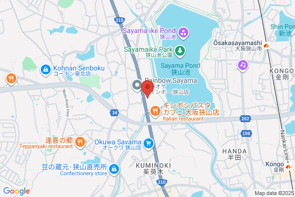 ゲオ大阪狭山店