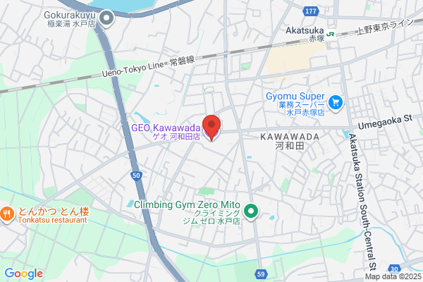 ゲオ河和田店