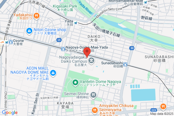 ドミノ・ピザ大幸南店