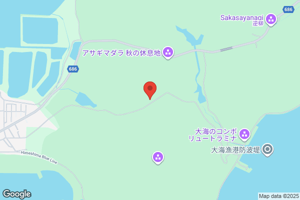 塚本美容鍼灸サロン〜Harieep〜