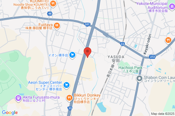 ココス 横手店