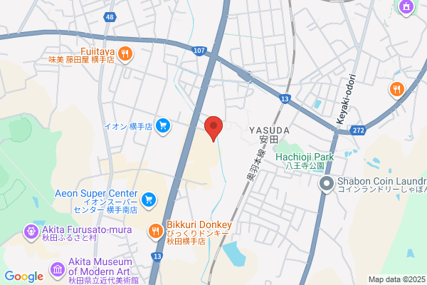 ツルハドラッグ フレスポ横手店 - 閉店