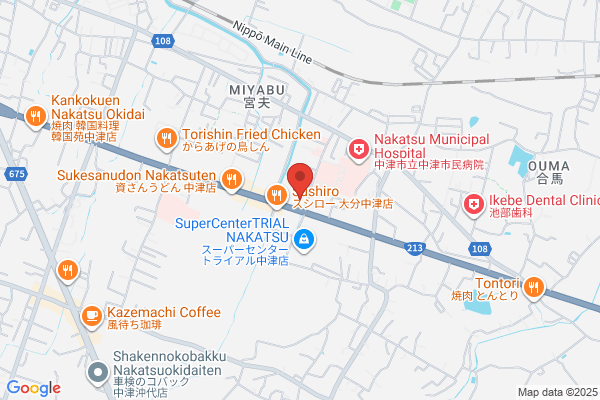 ゲオ中津店