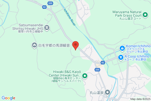ディスカウントドラッグコスモス 樋脇店