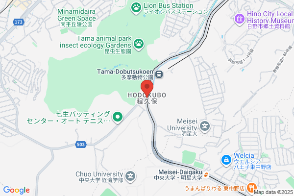 ドミノ・ピザ南大沢店