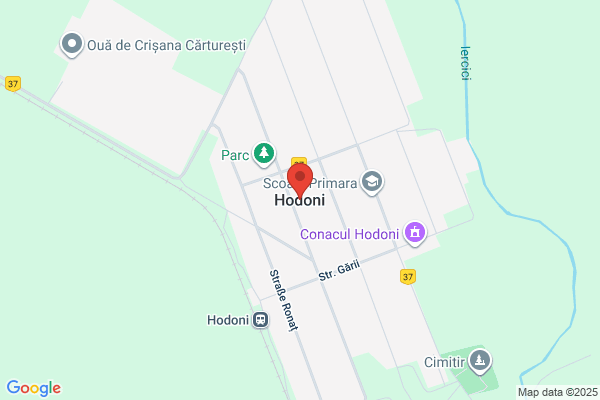 シーガルジャパン　八橋イサノ店
