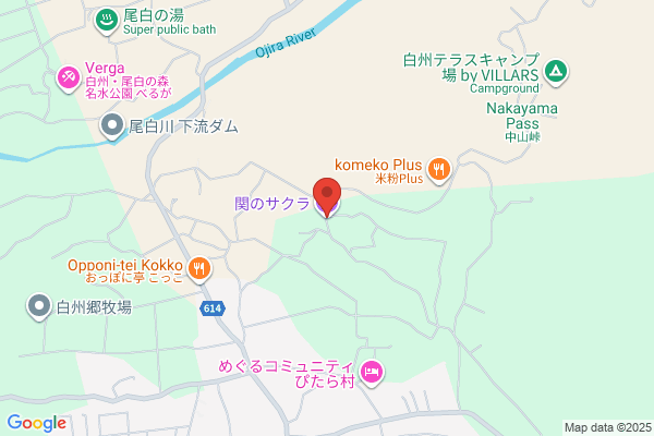 SAKURA 千歳店