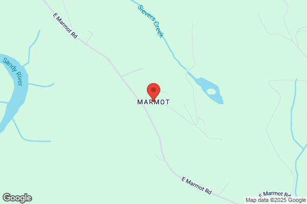 Marmot - 閉店