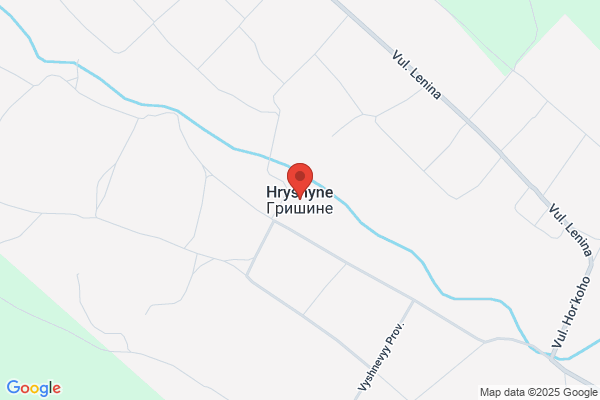ドミノ・ピザ西大和薬井店