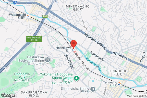 ガイアネクスト保土ヶ谷パチンコ館