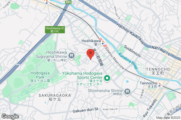 ハックドラッグ洪福寺松原店 (調剤薬局)