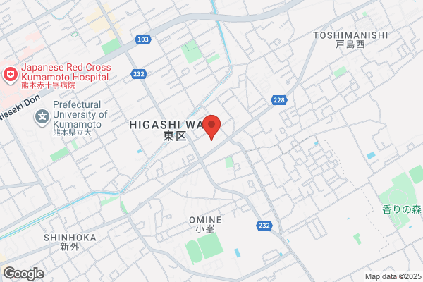ゲオ熊本小峯店