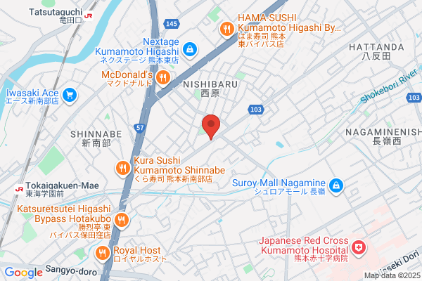 ディスカウントドラッグコスモス 八反田店