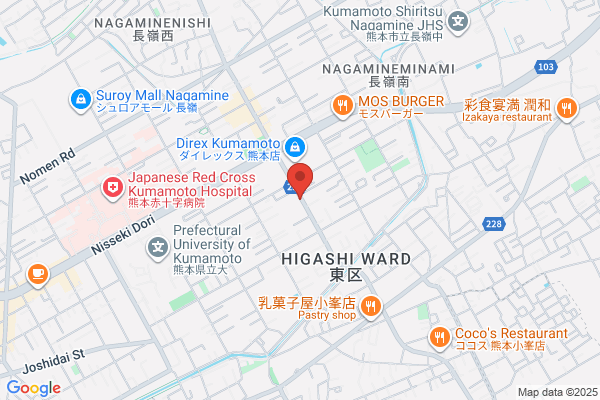 ディスカウントドラッグコスモス 長嶺南店