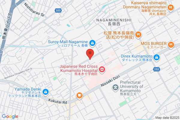 ディスカウントドラッグコスモス 長嶺店