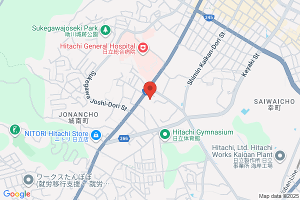Car Service Sekiyama Co., Ltd.