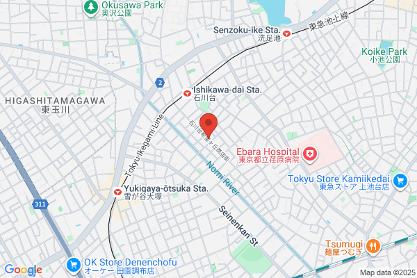 Matsumura Denki