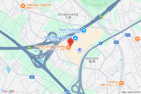 Ogino Denki Co., Ltd.