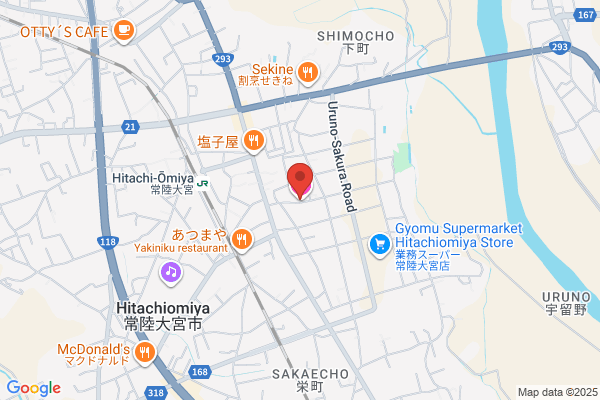Business Hotel Okazaki
