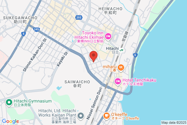 Business Hotel Raparo Omika