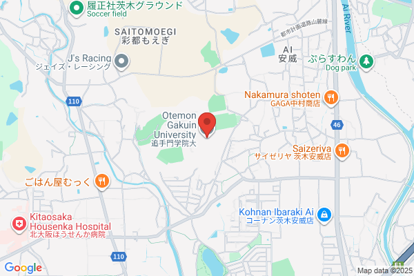 Aino Gakuin College
