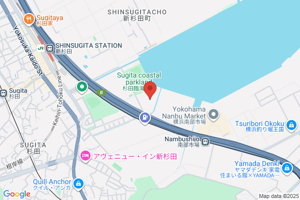 Global Ltd.