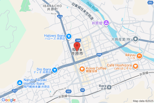 ゲオ井原店