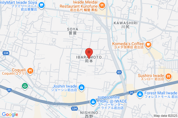 ジョーシン岩出店