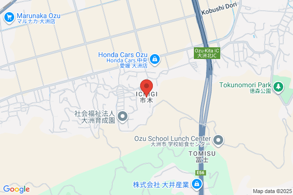 ゲオ豊田広路店