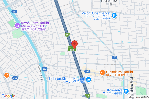 株式会社ガイアメディカル
