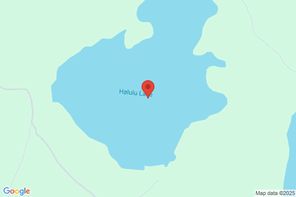 スタジオアリスHALULU グランツリー武蔵小杉店