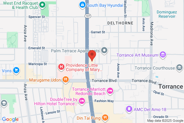 Japanese　noodle　Bar　さばね
