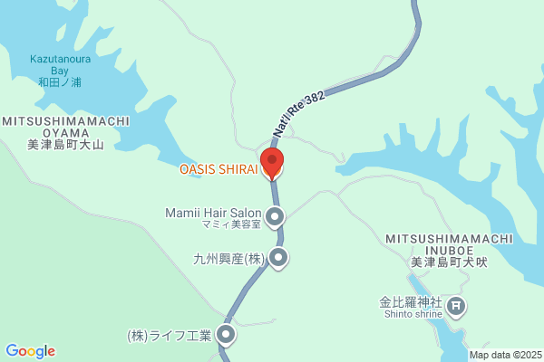 Oasis