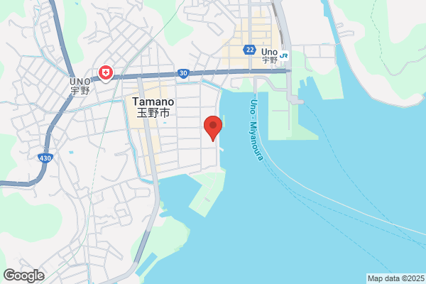 メガガイア本城
