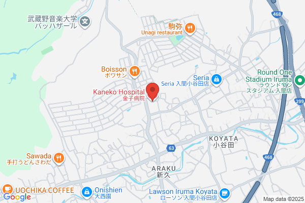 Kaneko Medical Co., Ltd.