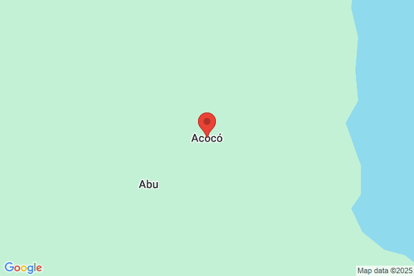 A.coco