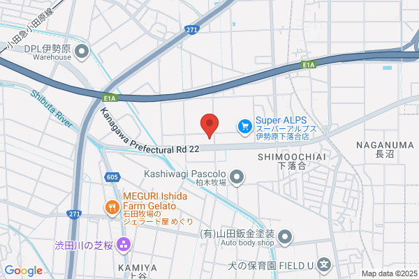 PUDOステーション　ザ・ビッグ　平塚真田店