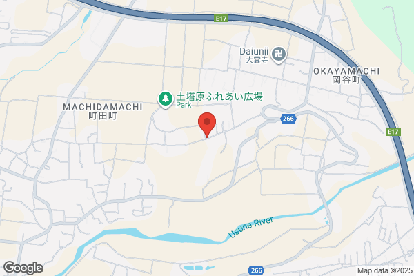 ドミノ・ピザ常陸大宮店