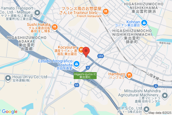 ウェルネス 東出雲薬局