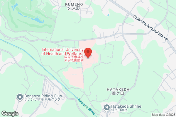 Narita Surgery Hospital