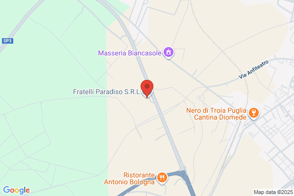 FRATELLI PARADISO