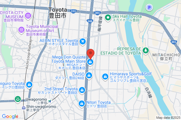 ゲオ豊田広路店