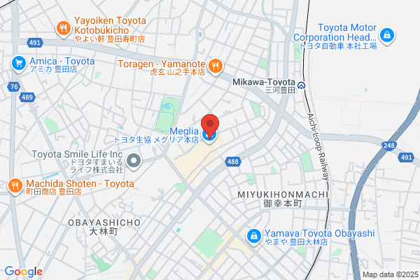 ジョーシンメグリア本店