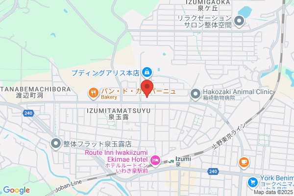 ツルハドラッグ いわき玉露店